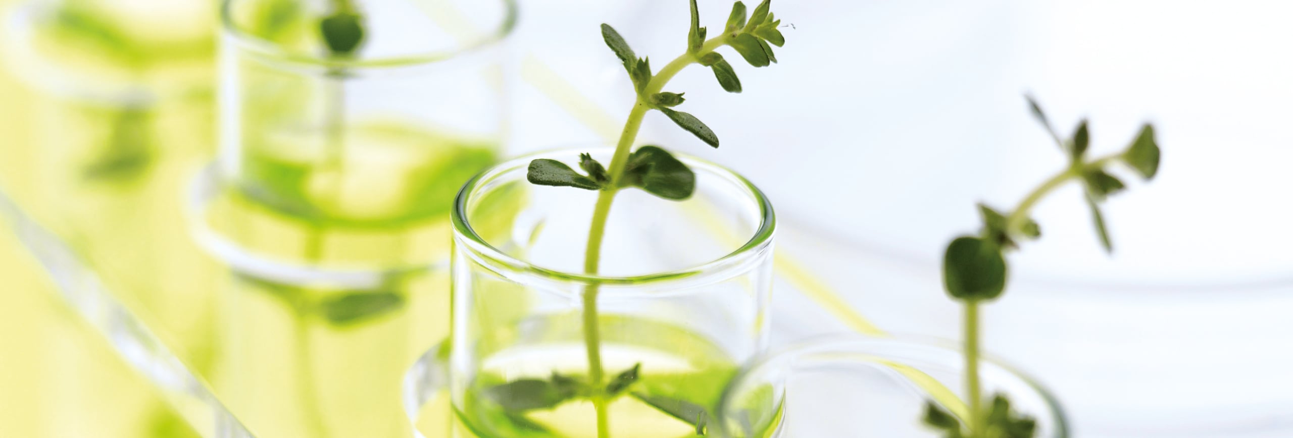 Responsible Care Jahresberichte