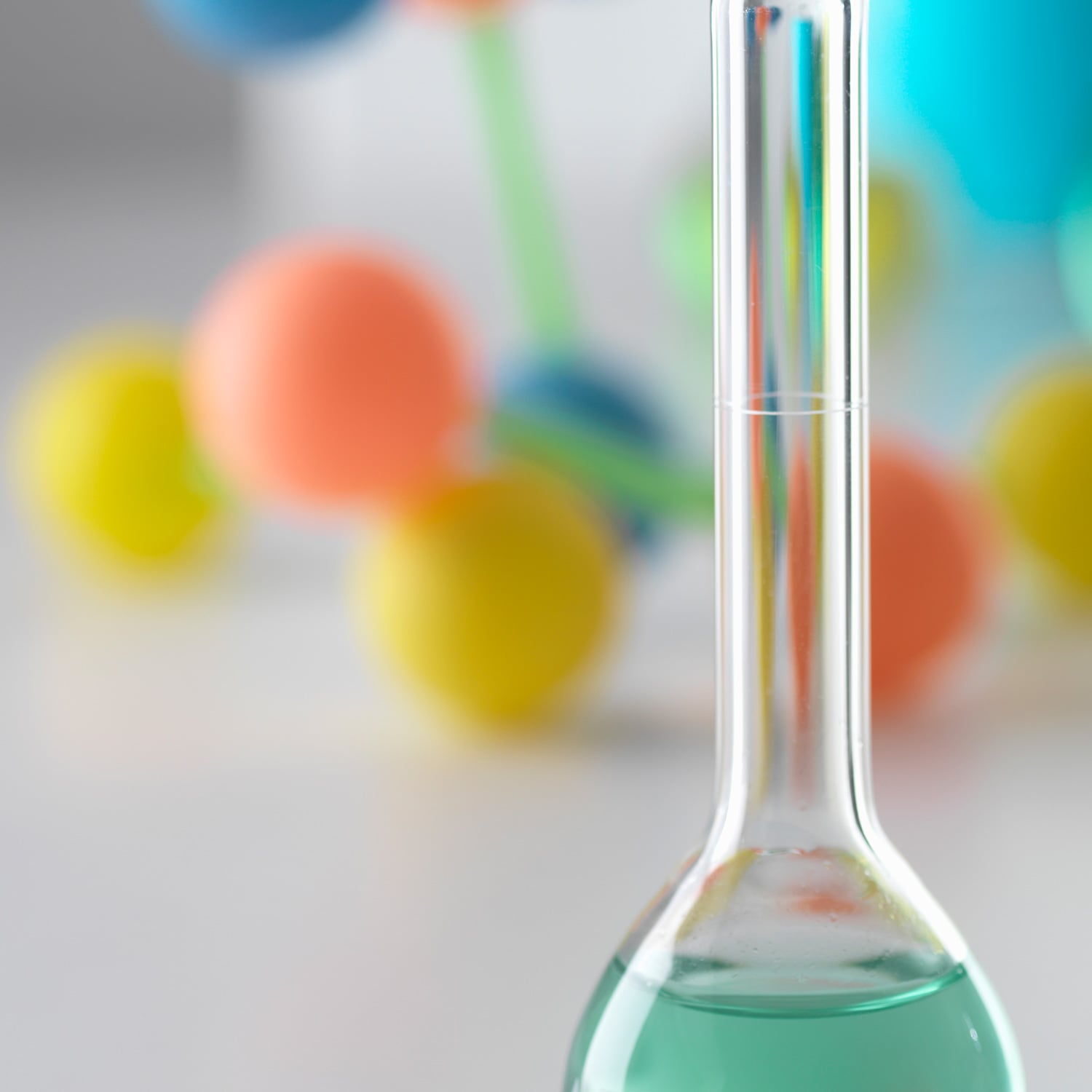 Mit den besten Verbindungen